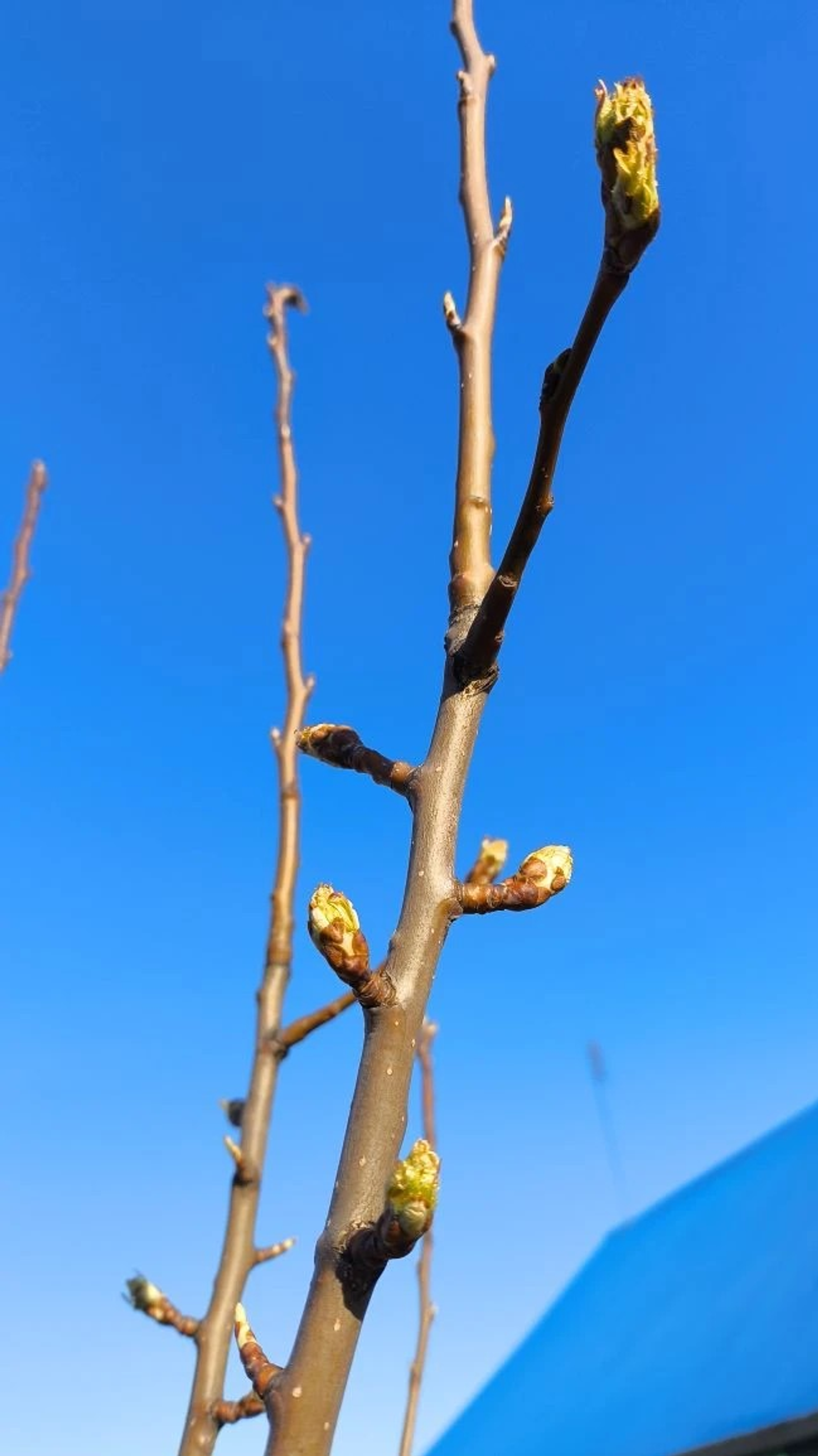 В Башкирии прогнозируется похолодание до -3°