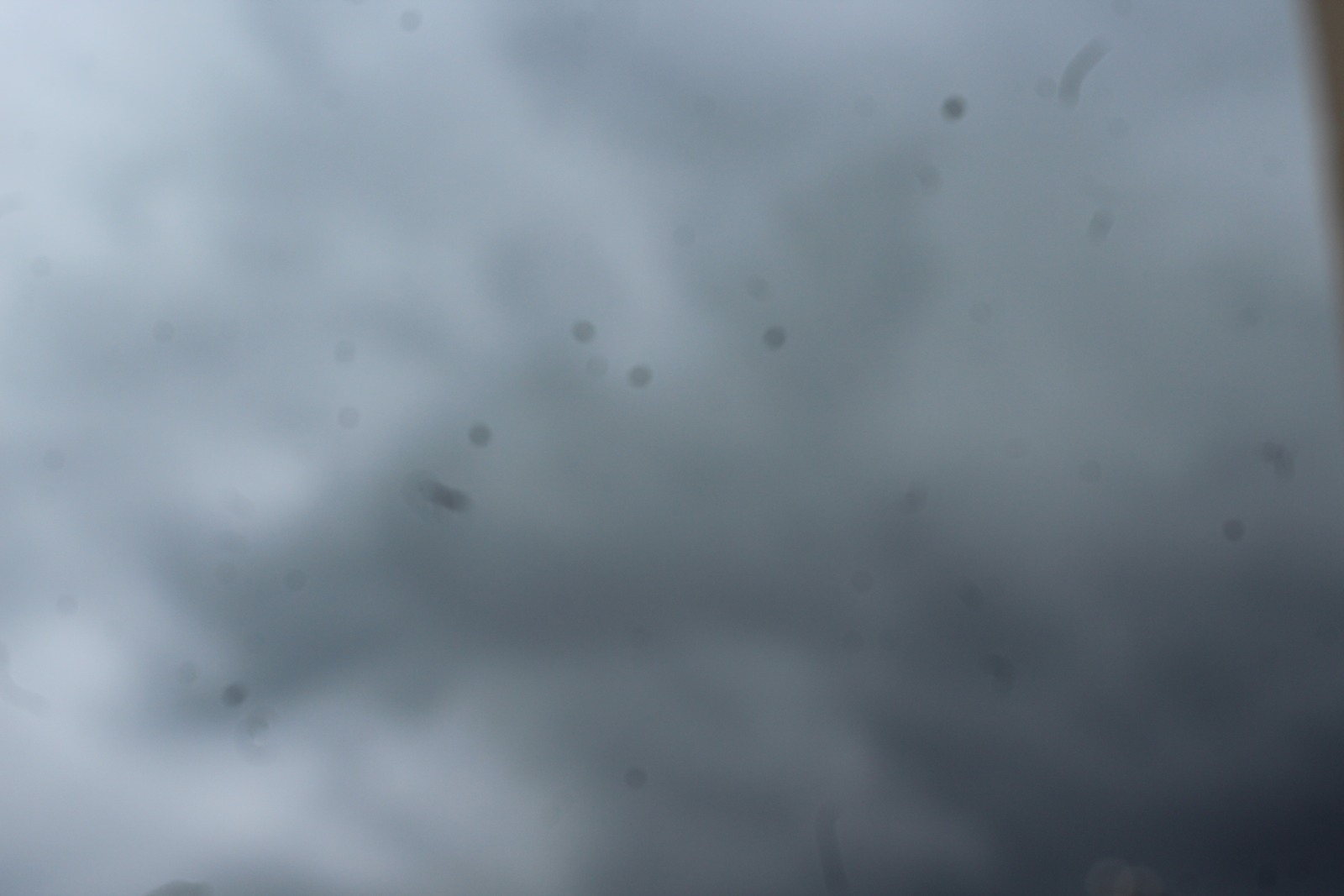 Башкортстанга көчле яңгырлар килә