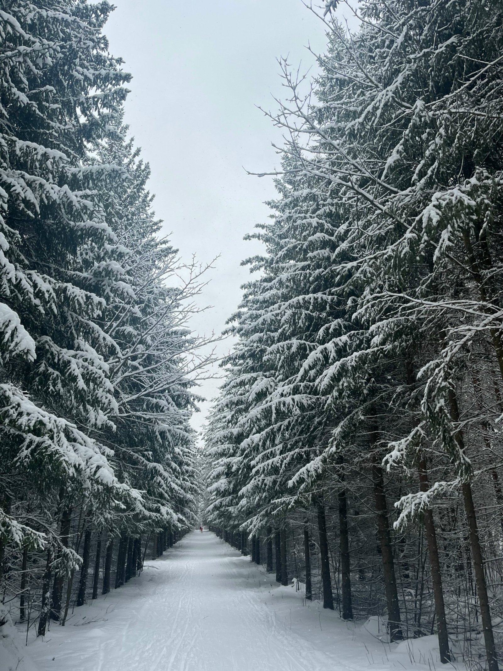 Буран һәм бозлавык көтелә. Юлларда сак булыгыз!