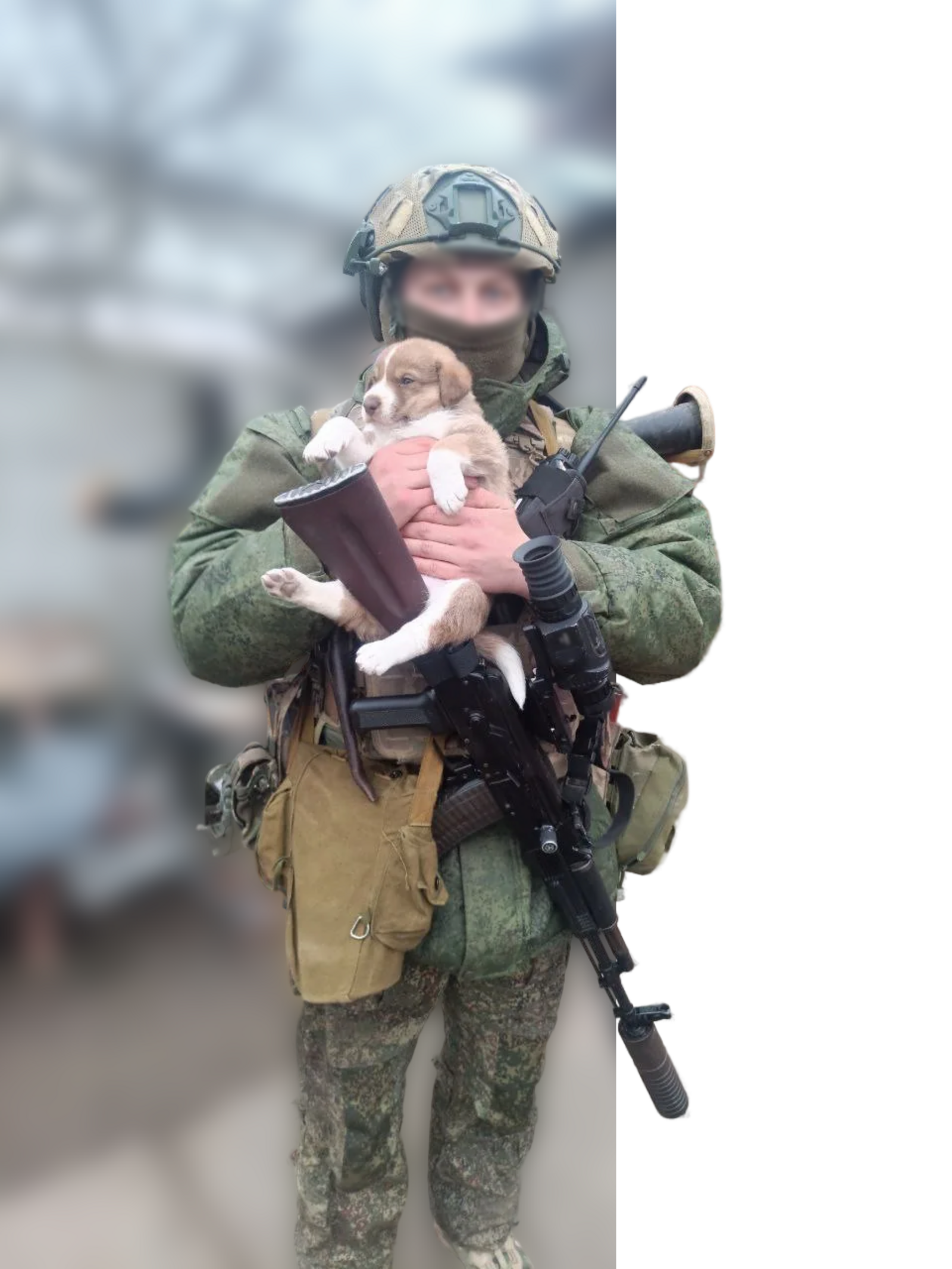 Яугир якташ СВОда