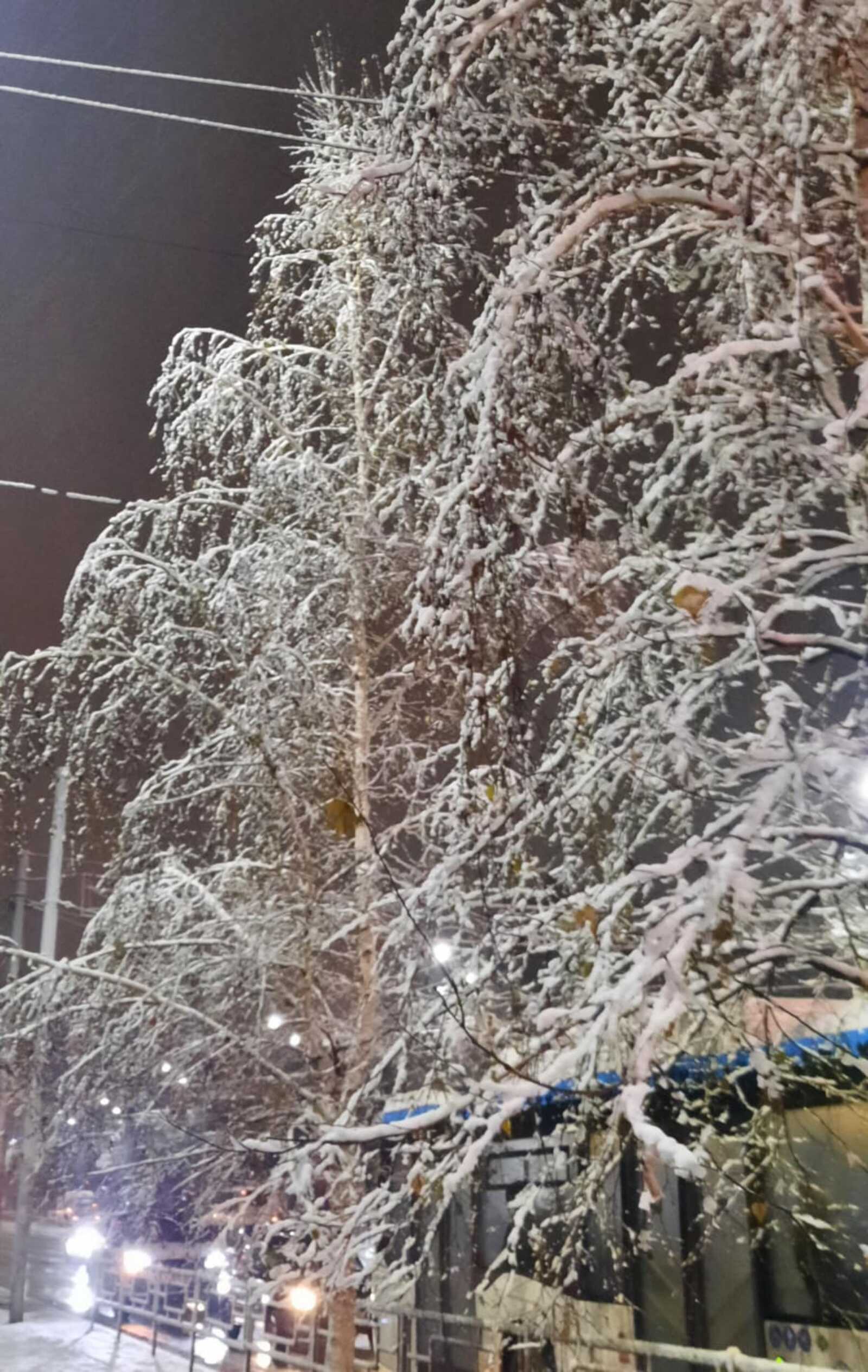 Кайчан җылытачак?