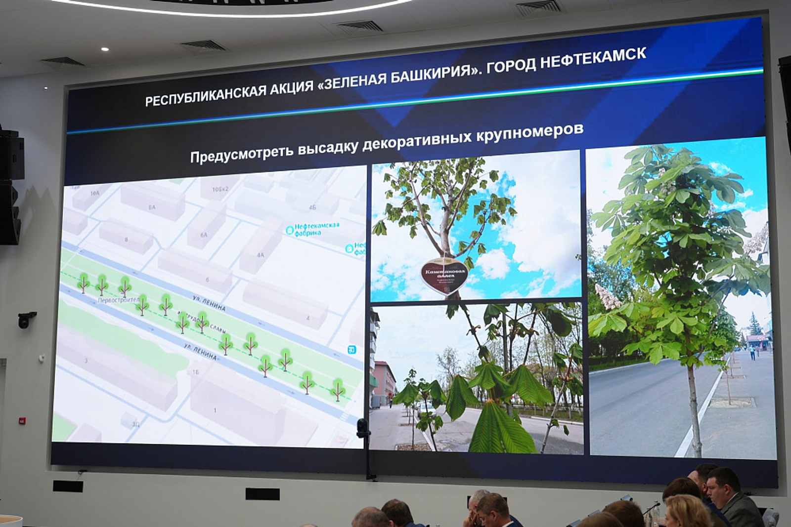 Во время республиканской акции «Зелёная Башкирия» высадят 4,5 тысячи деревьев