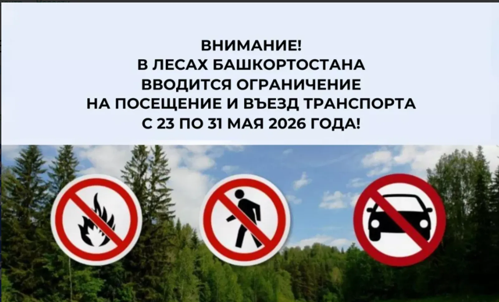 Внимание! В лесах Башкортостана вводится ограничение на посещение