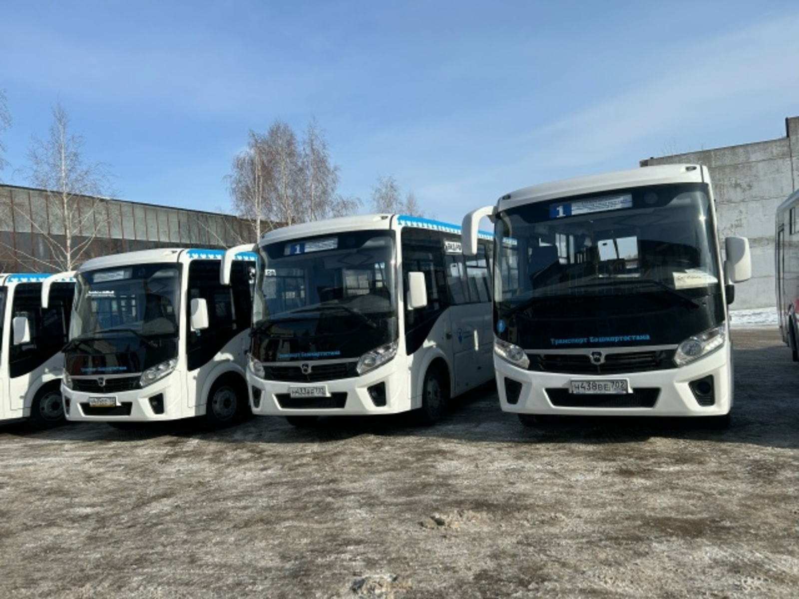 Тагын арта...