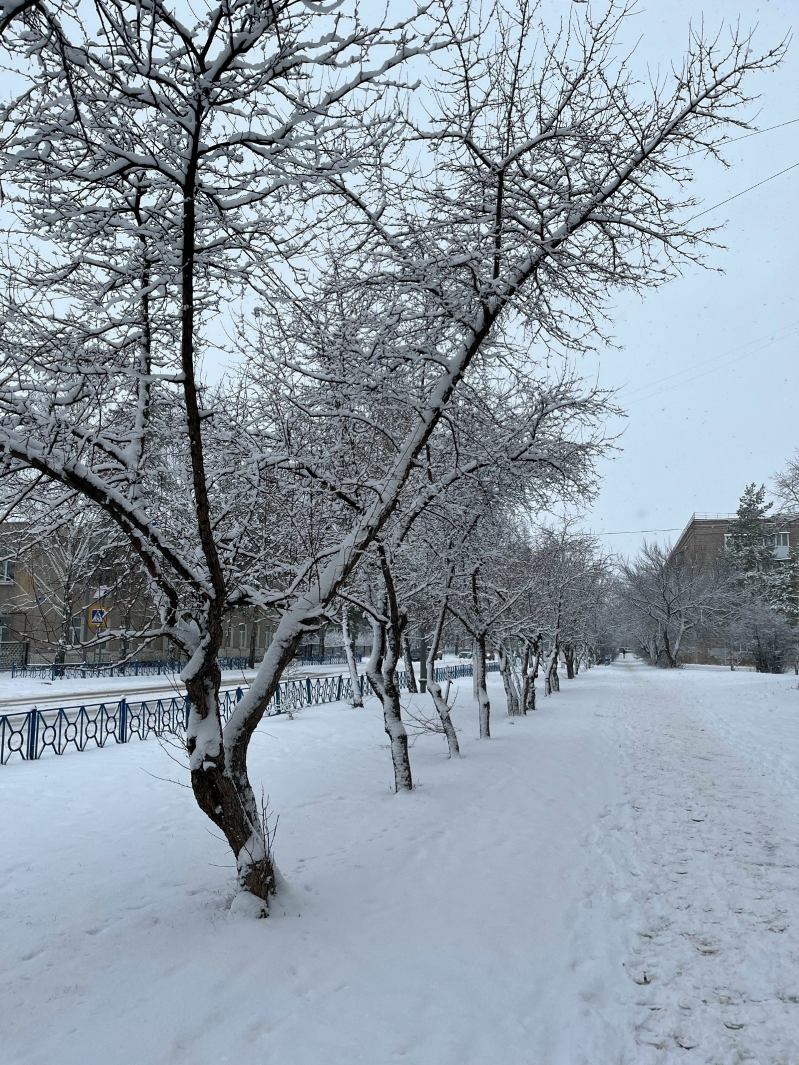 Кайчан кар ява инде?