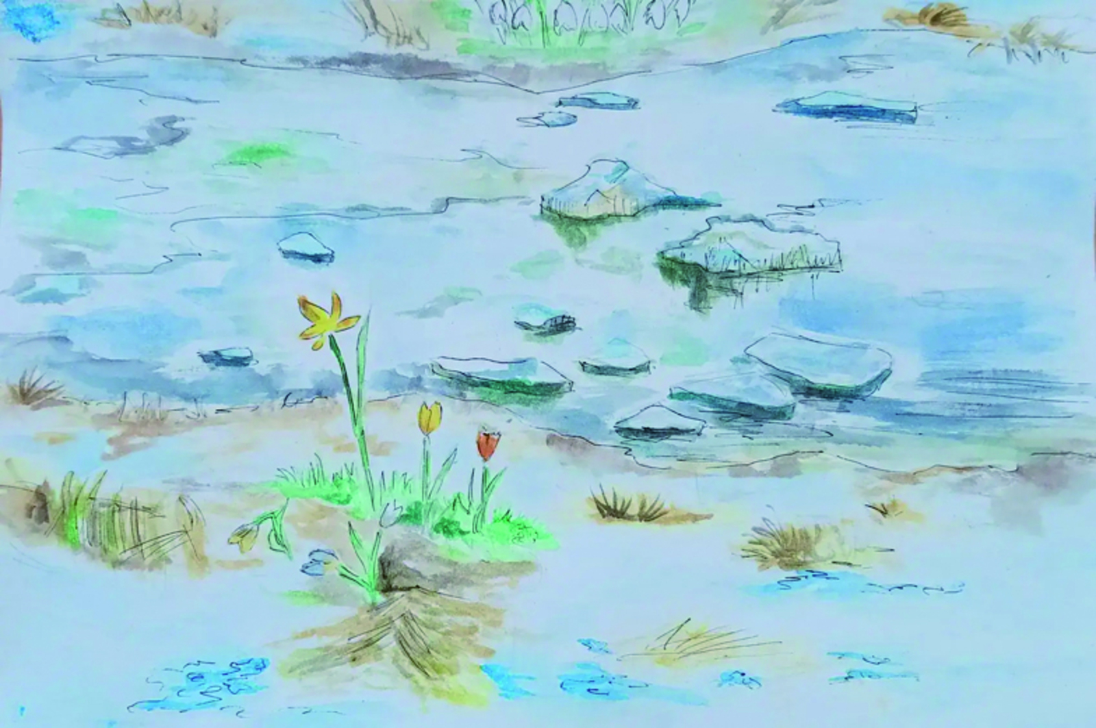 Кояш карый елмаеп