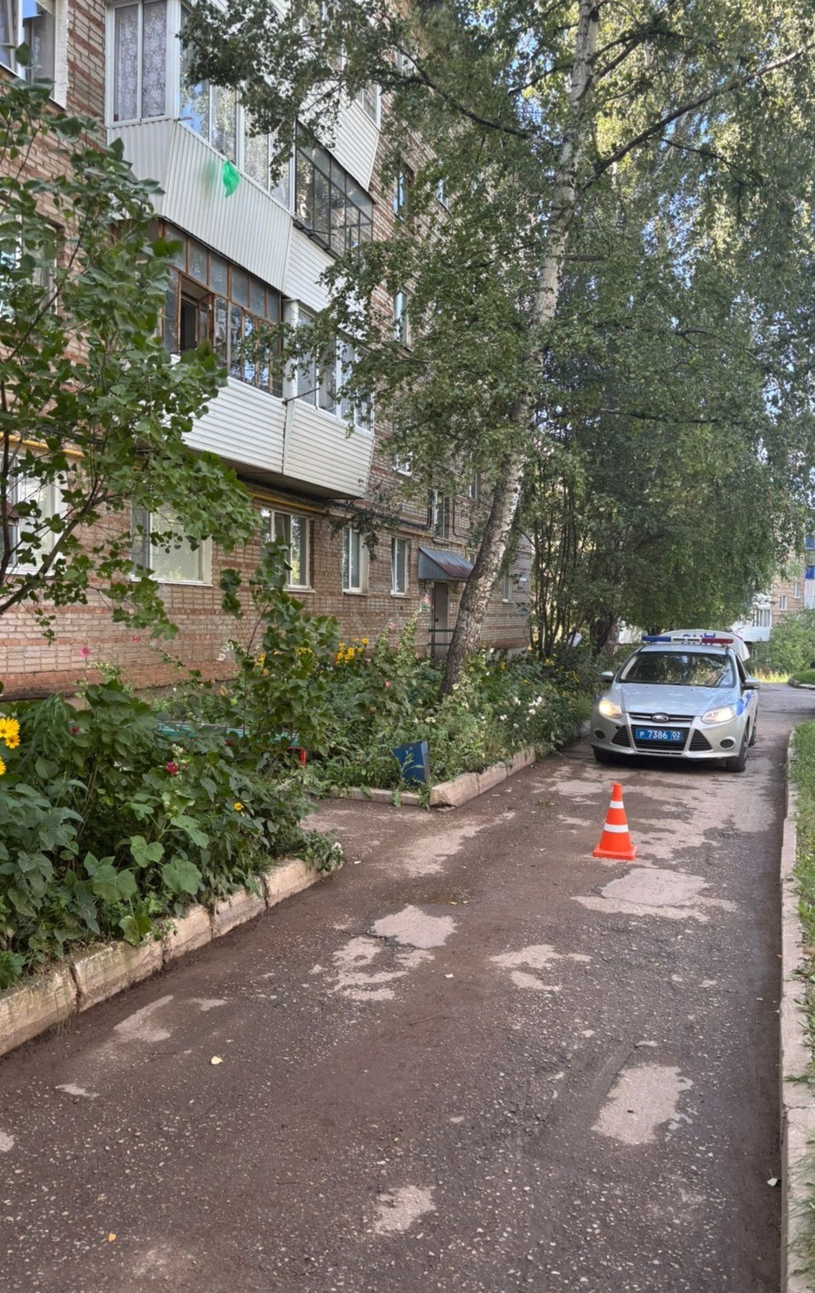 Юллардагы вакыйгалар