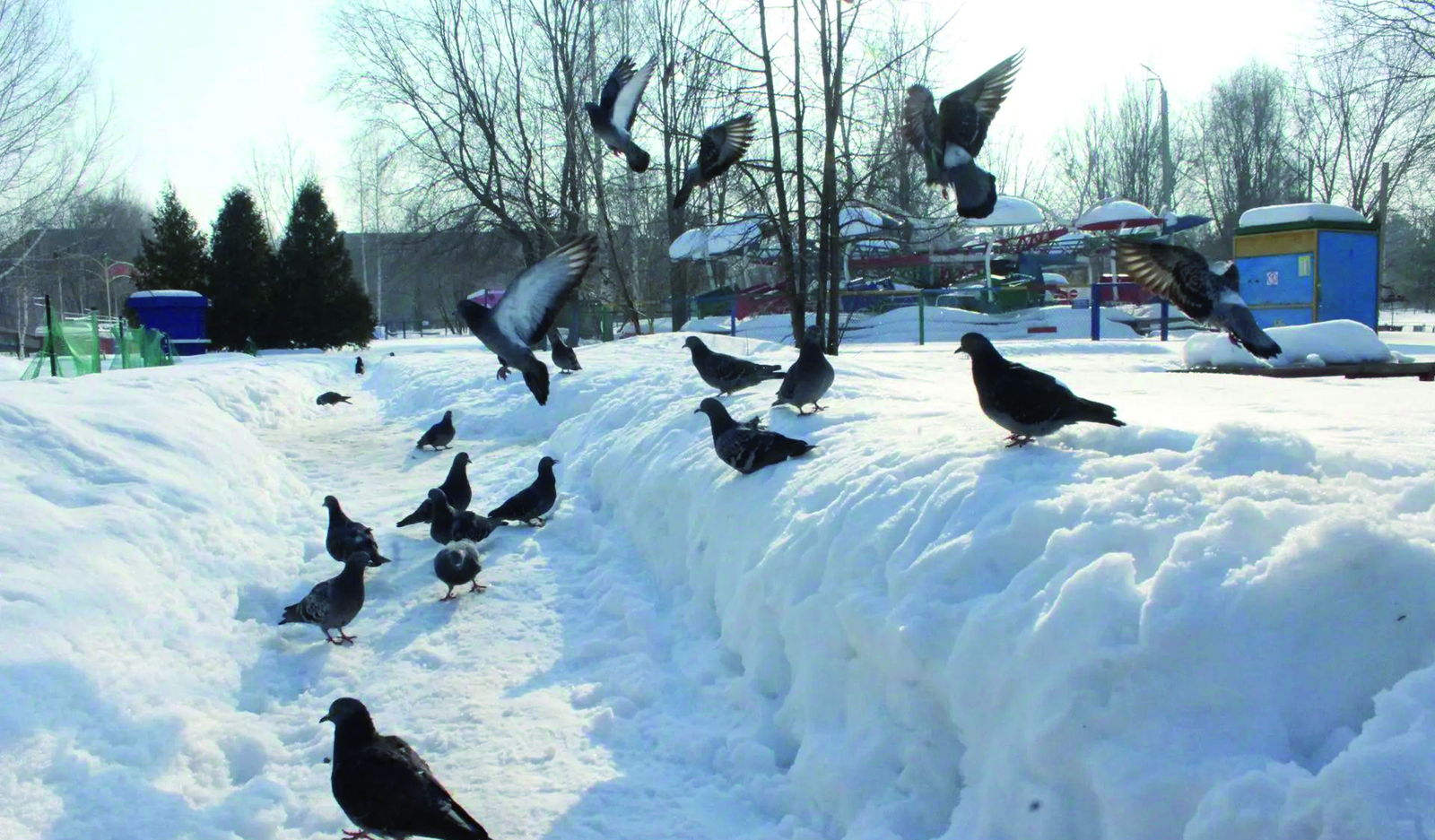 Гөрләвекләр ага